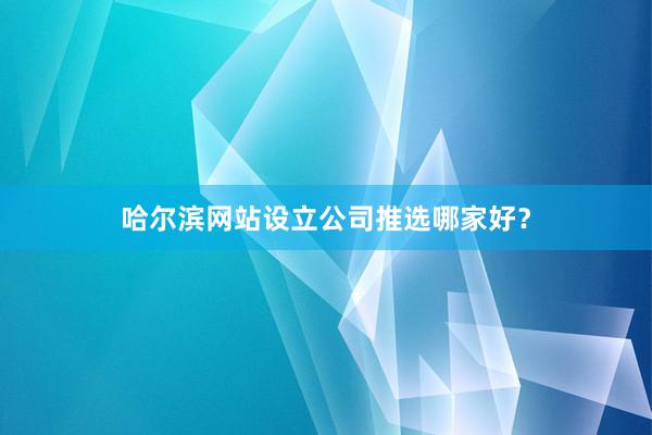 哈尔滨网站设立公司推选哪家好？