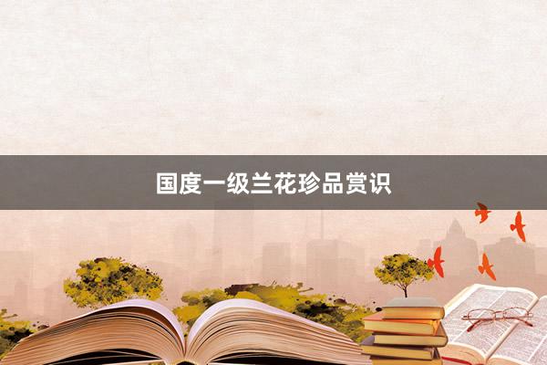 国度一级兰花珍品赏识