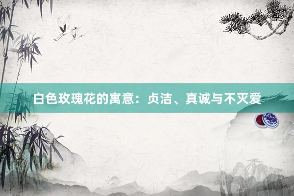 白色玫瑰花的寓意：贞洁、真诚与不灭爱