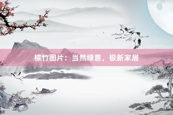 棕竹图片：当然绿意，极新家居