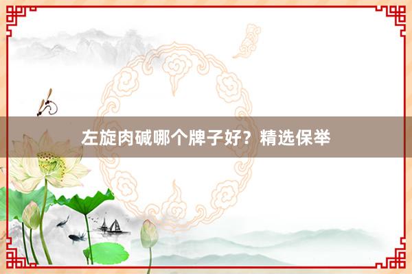 左旋肉碱哪个牌子好？精选保举